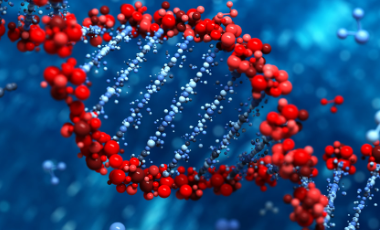 Biomolecules