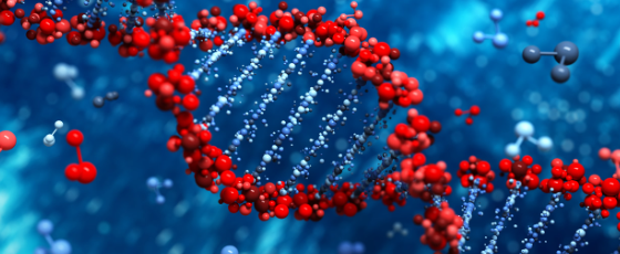 Biomolecules