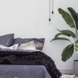 5 Plants That Can Help You Sleep Better Tonight