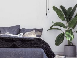 5 Plants That Can Help You Sleep Better Tonight