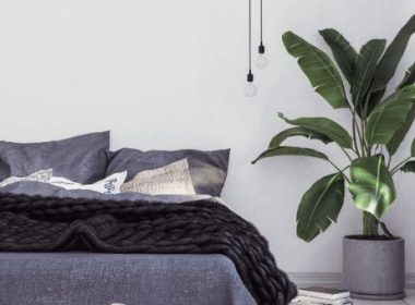 5 Plants That Can Help You Sleep Better Tonight