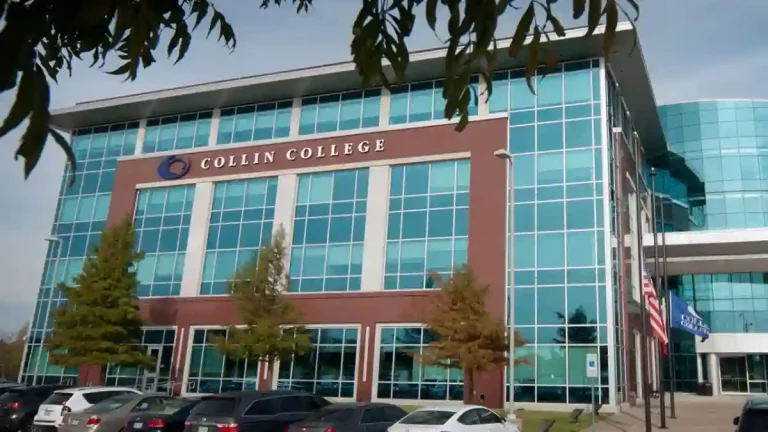 colleges in Dallas