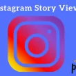 Instagram Story Viewer