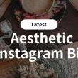 Aesthetic Instagram Bio