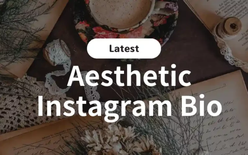 Aesthetic Instagram Bio