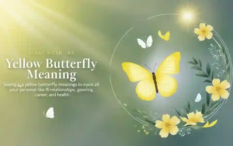 Yellow Butterfly Meaning
