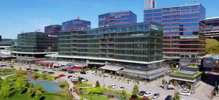 istinye university